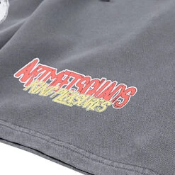 Daily Fashion -Daily Fashion ARTMEETCHAOS OUTLAWSHORTS CHARCOAL 3