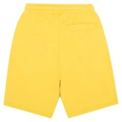 Lacoste Classic Sweat Shorts | Anthemis -Daily Fashion classic sweat shorts anthemis 743139