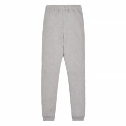 Lacoste Fleece Sweatpant | Grey -Daily Fashion fleece sweatpant grey 523980