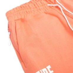 Billionaire Boys Club Grail Sweat Shorts | Georgia Peach 11 Billionaire Boys Club Grail Sweat Shorts | Georgia Peach -Daily Fashion grail sweat shorts georgia peach 494447