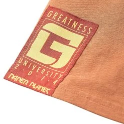 Intention Heavyweight Tee | Ginger -Daily Fashion intention heavyweight tee ginger 713463