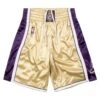 Kobe Bryant HOF 1996-2016 LA Lakers Shorts -Daily Fashion kobe bryant hof 1996 2016 la lakers shorts 942270