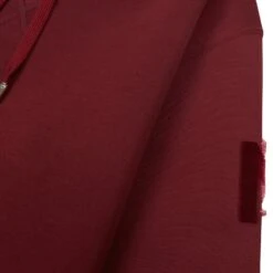 Mackage Krys Hoodie | Garnet 9 Mackage Krys Hoodie | Garnet -Daily Fashion krys hoodie garnet 689723