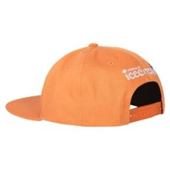 Max Snapback | Copper Tan 10 Max Snapback | Copper Tan -Daily Fashion max snapback copper tan 874502