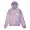 Miracle Academy Hoodie | Fog Sunfade -Daily Fashion miracle academy hoodie fog sunfade 788778