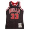 Scottie Pippen 1995 Auth Chic. Bulls Jersey | Pinstripe