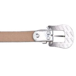 Silver Linings Swarovski -Daily Fashion silver linings swarovski 198109