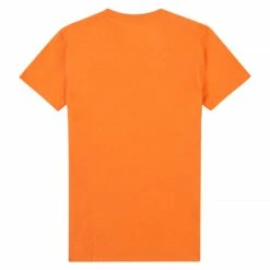 Lacoste V-Neck Basic Tee | Mandarin Orange -Daily Fashion v neck basic tee mandarin orange 237212